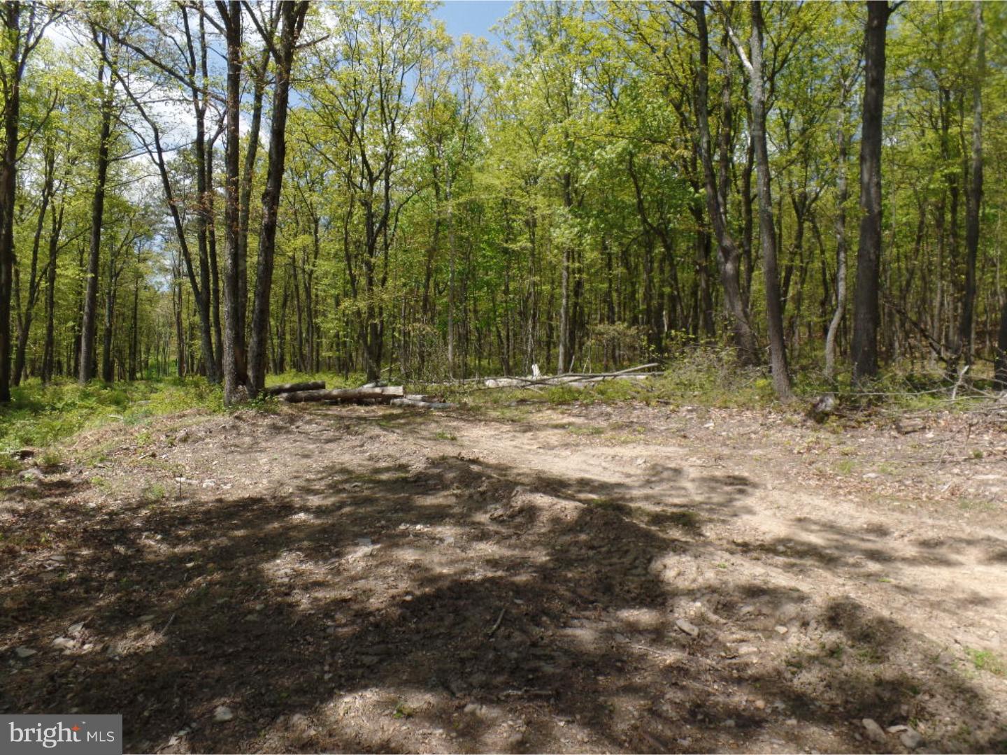 0 West Mountain Top Road Tamaqua, PA 18252 - Photo 7 of 9 Gallery Image 7