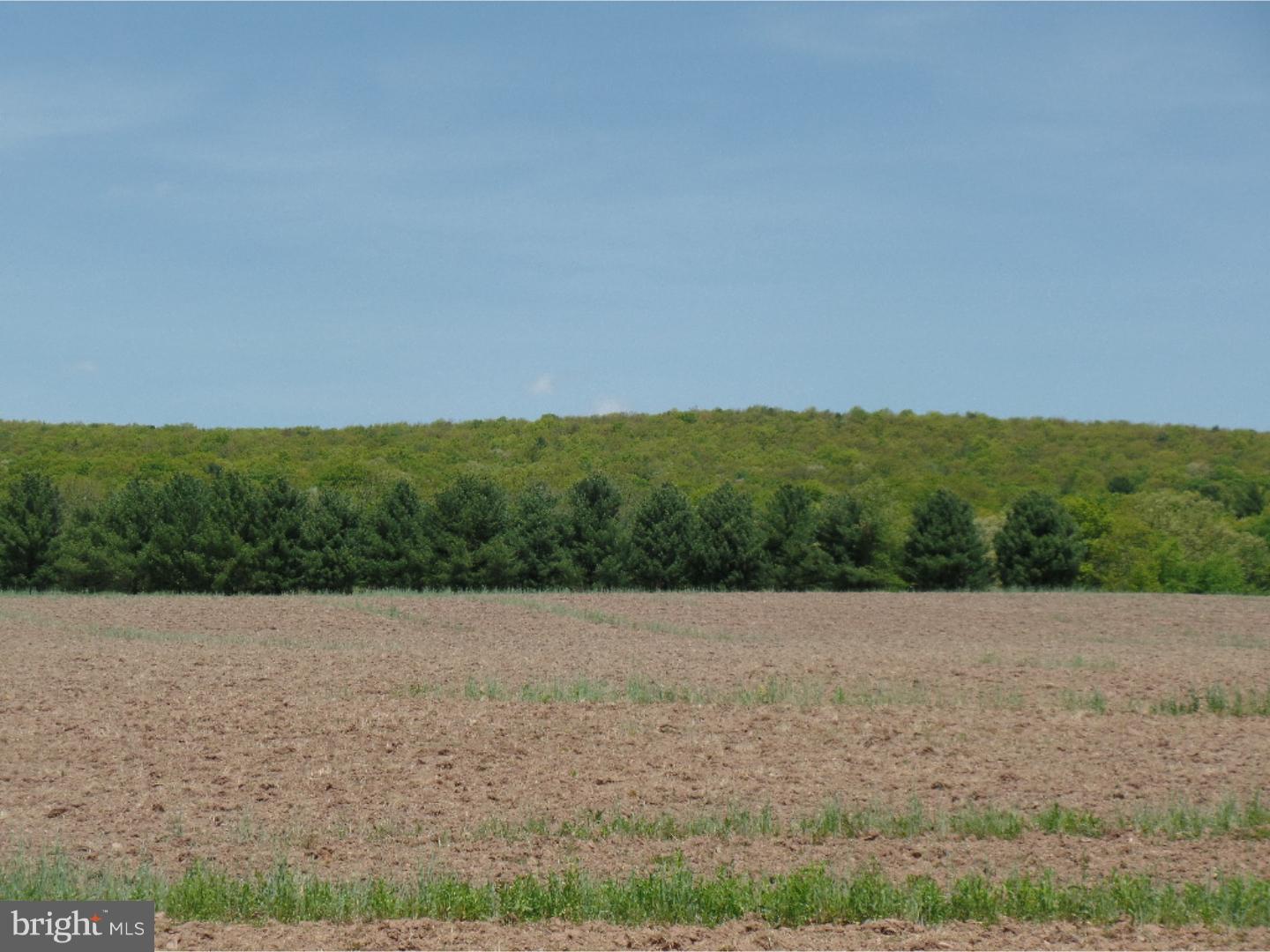 0 West Mountain Top Road Tamaqua, PA 18252 - Photo 8 of 9 Gallery Image 8