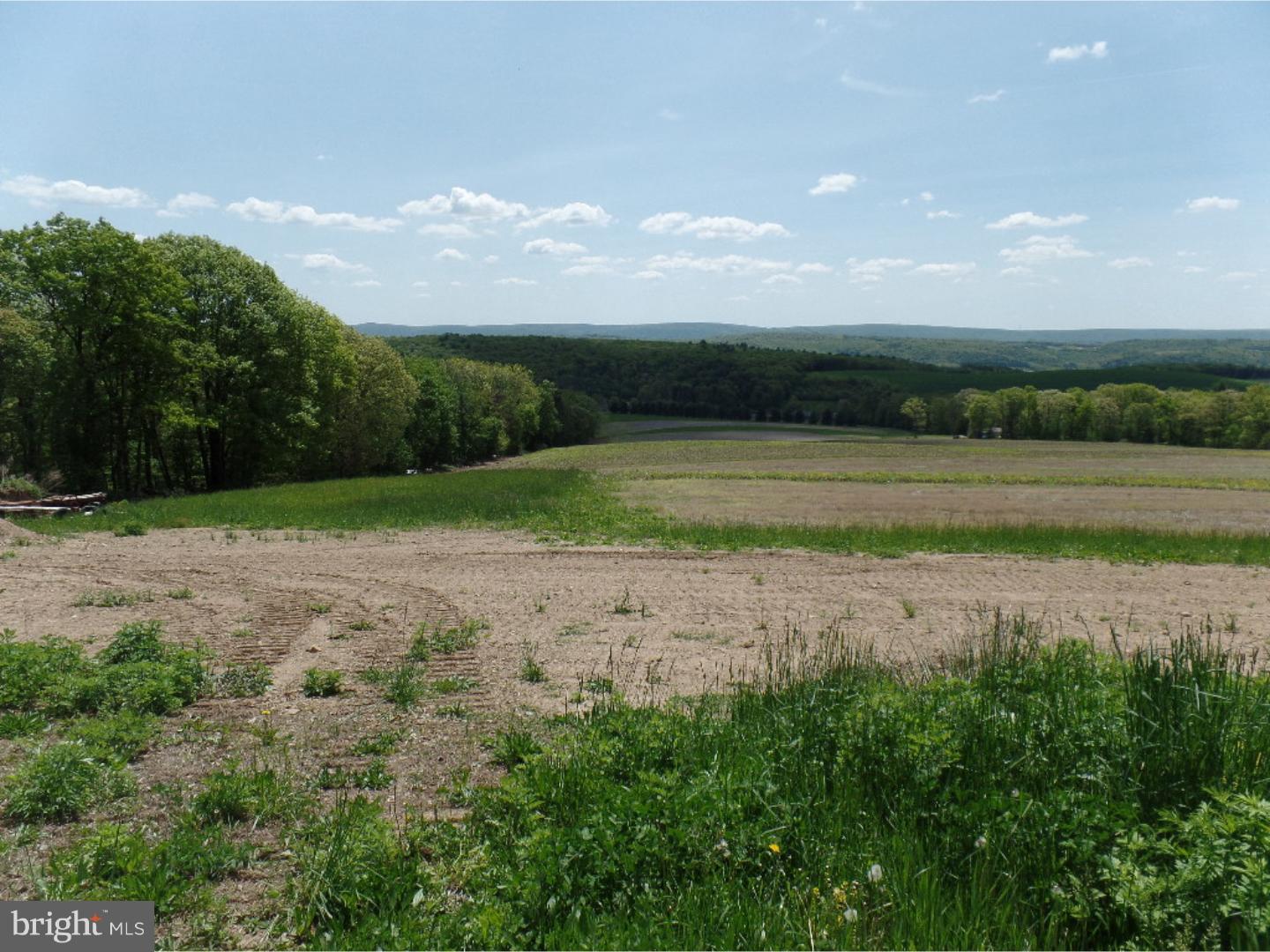 0 West Mountain Top Road Tamaqua, PA 18252 - Photo 9 of 9 Gallery Image 9
