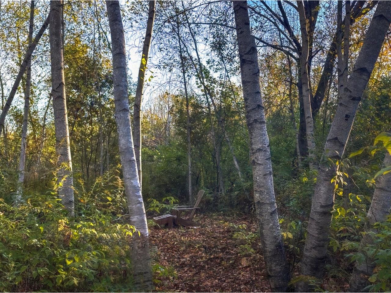 60 Wolf Lane Richmond, VT 05477 - Photo 55 of 57