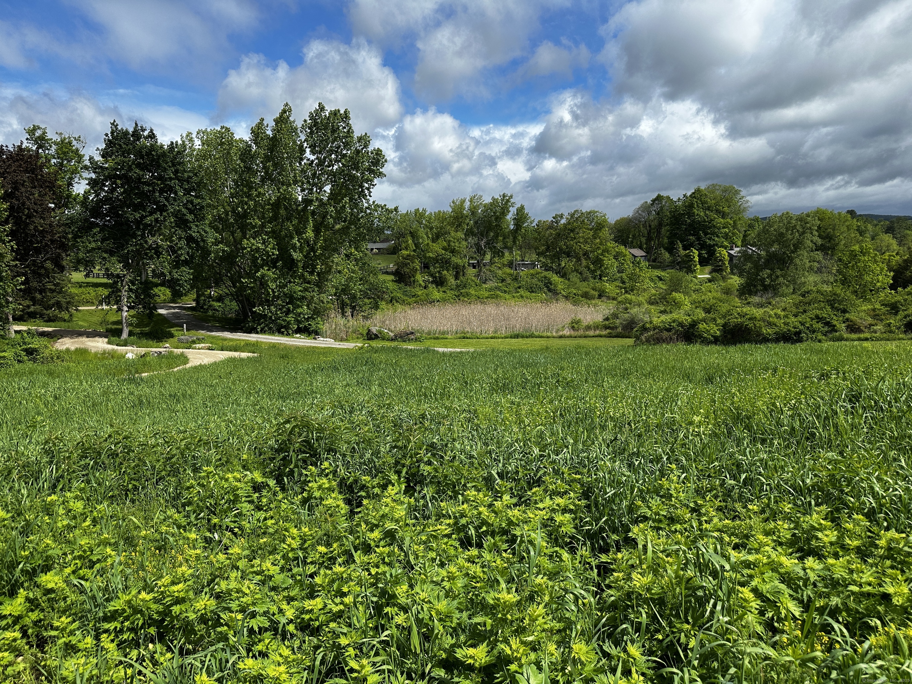 14 Red Mountain Road Lakeville, CT 06039 - Photo 19 of 21 a view of a golf course with a garden