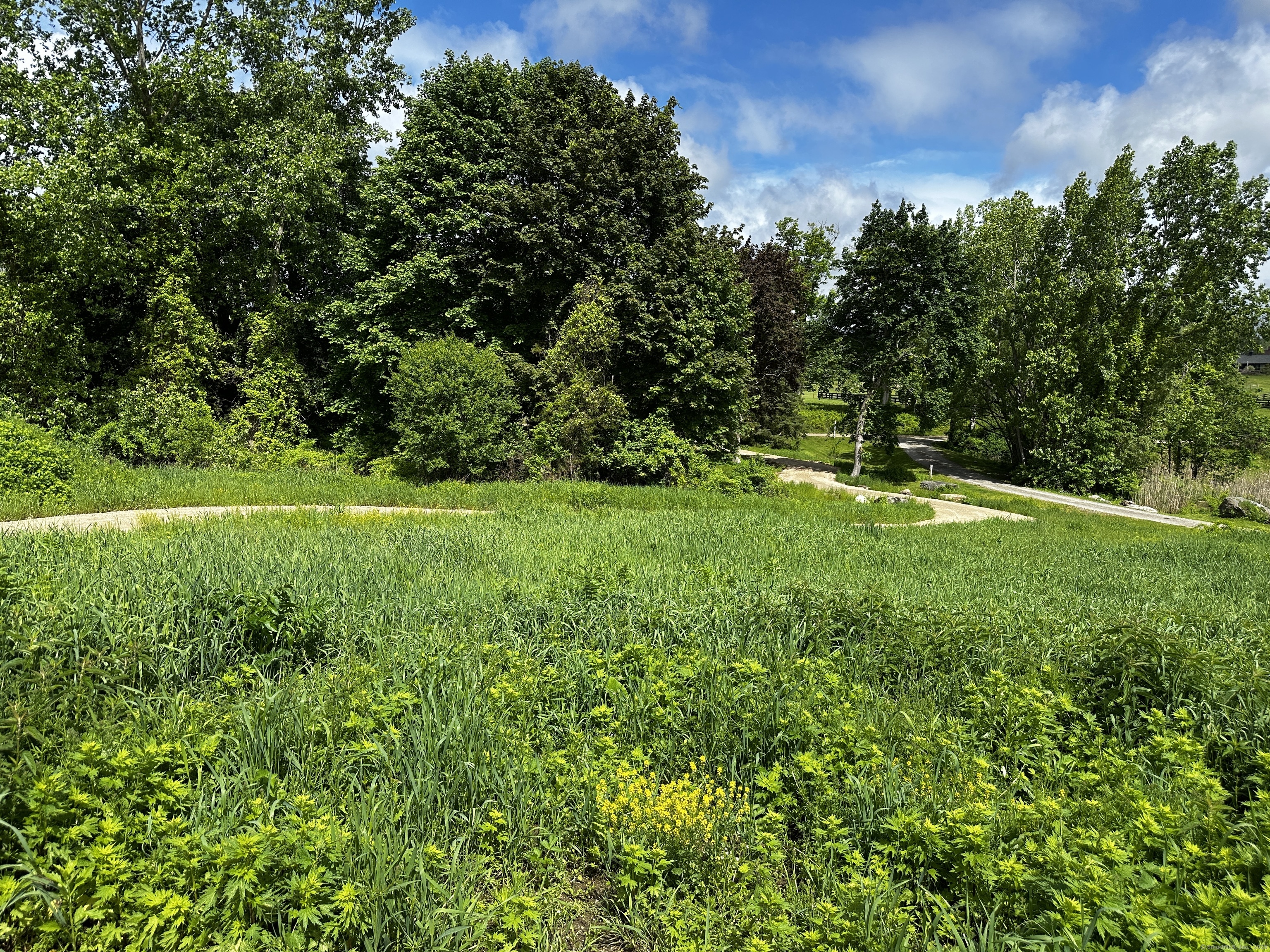 14 Red Mountain Road Lakeville, CT 06039 - Photo 21 of 21 a view of a big yard with a tree