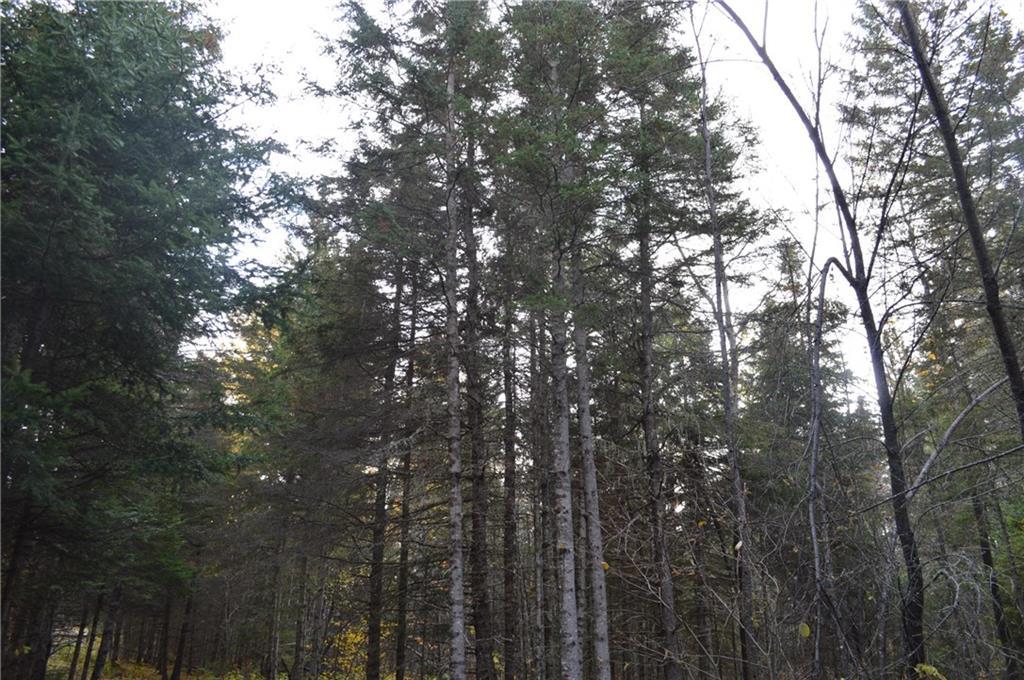 62 Averill Road Springfield, ME 04487 - Photo 16 of 18 Photo