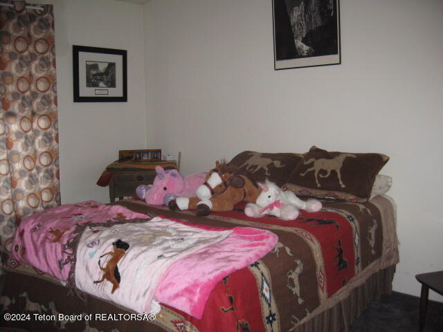 5 Shelley Road Pinedale, WY 82941 - Photo 14 of 19 IMG_7848