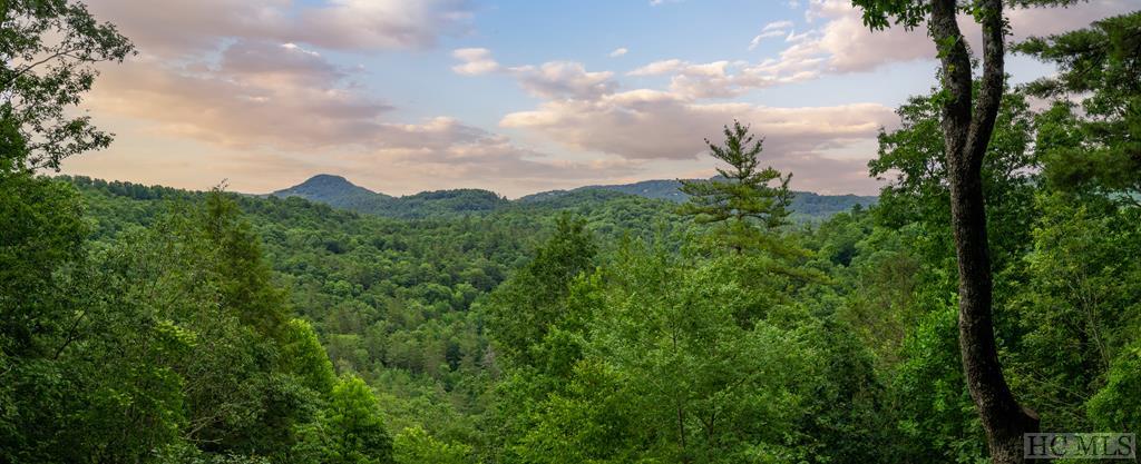Lot 4 View Point Road Highlands, NC 28741 - Photo 3 of 3 Gallery Image 3