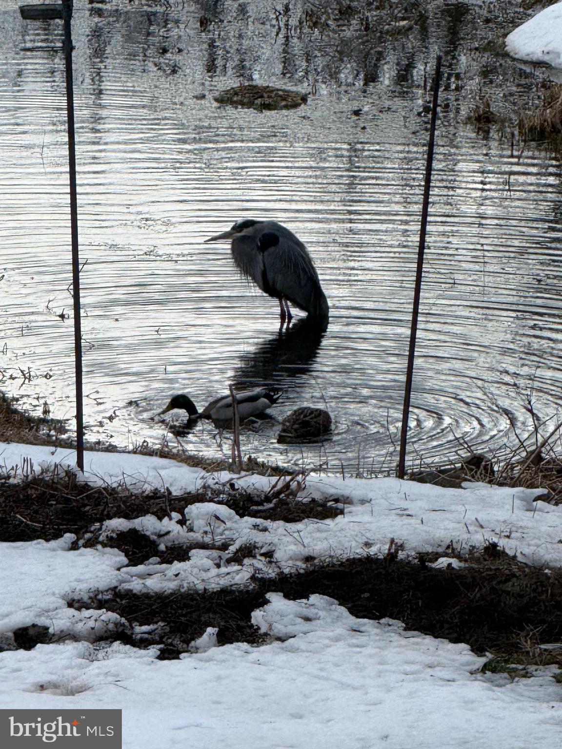 238 Heatherstone Way Lancaster, PA 17601 - Photo 126 of 141 Egret