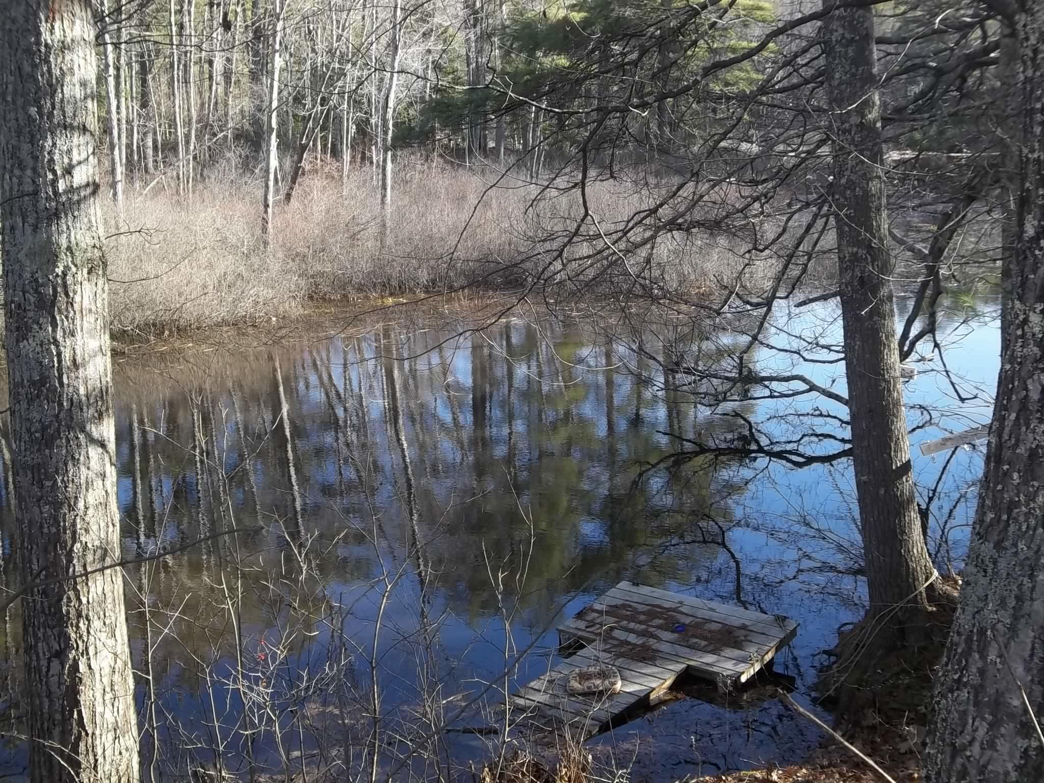 51 Washington Road Jefferson, ME 04348 - Photo 10 of 28 FrizzellWRd