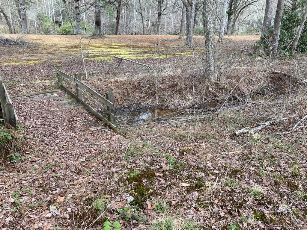 750 Hilltop Road Murphy, NC 28906 - Photo 33 of 57