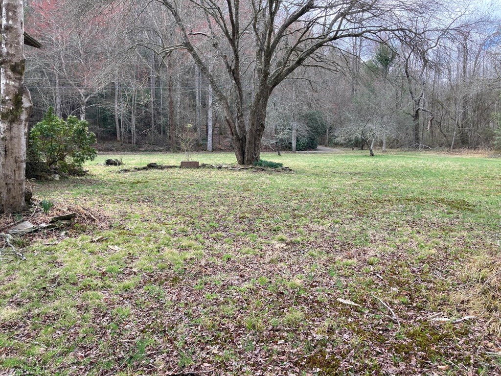 750 Hilltop Road Murphy, NC 28906 - Photo 34 of 57