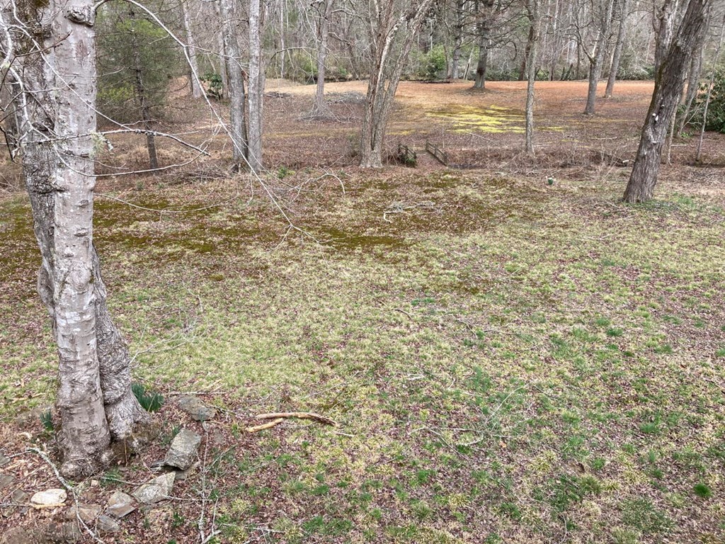 750 Hilltop Road Murphy, NC 28906 - Photo 46 of 57