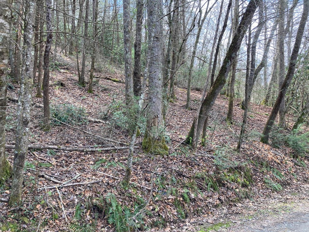750 Hilltop Road Murphy, NC 28906 - Photo 54 of 57
