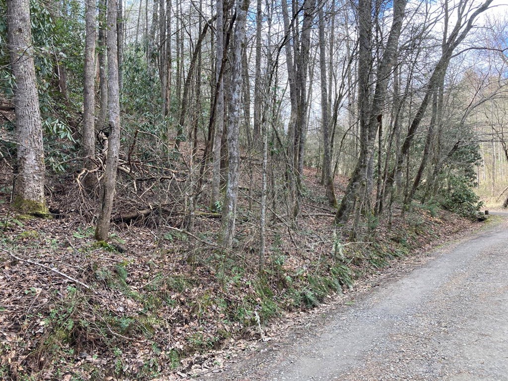 750 Hilltop Road Murphy, NC 28906 - Photo 55 of 57