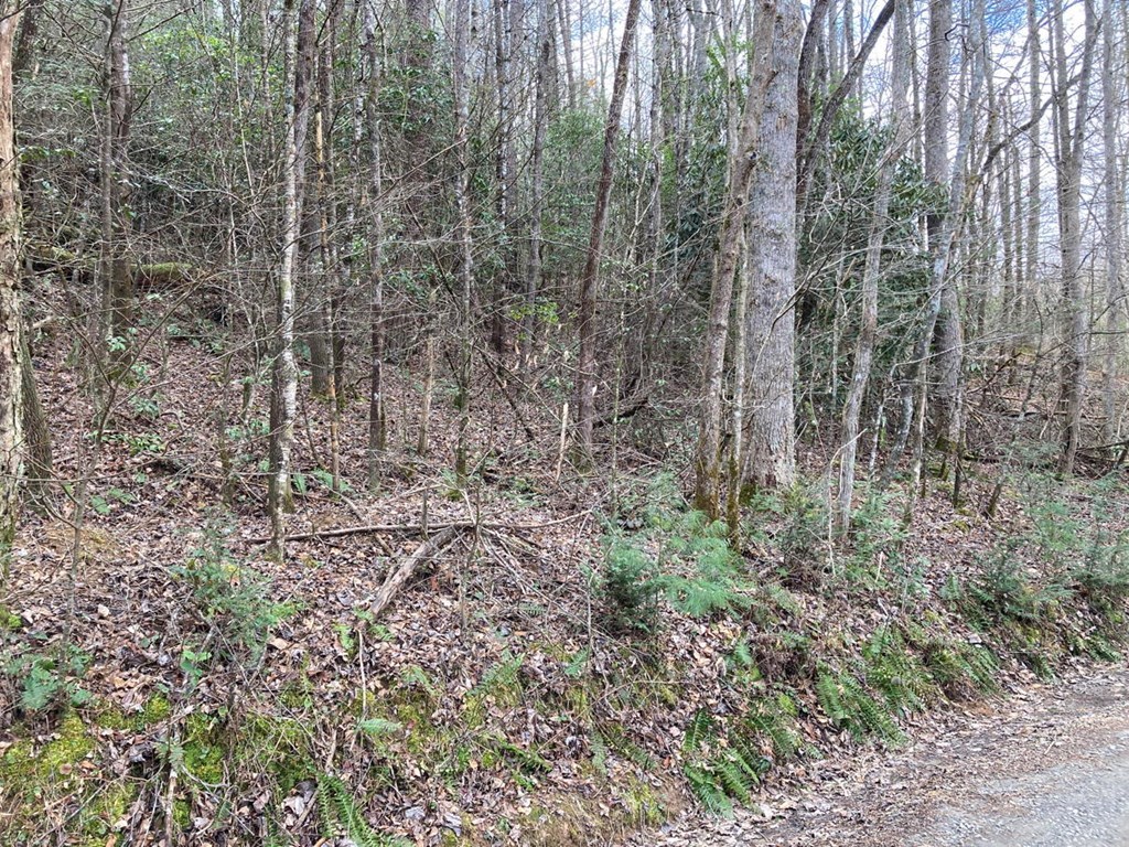 750 Hilltop Road Murphy, NC 28906 - Photo 56 of 57