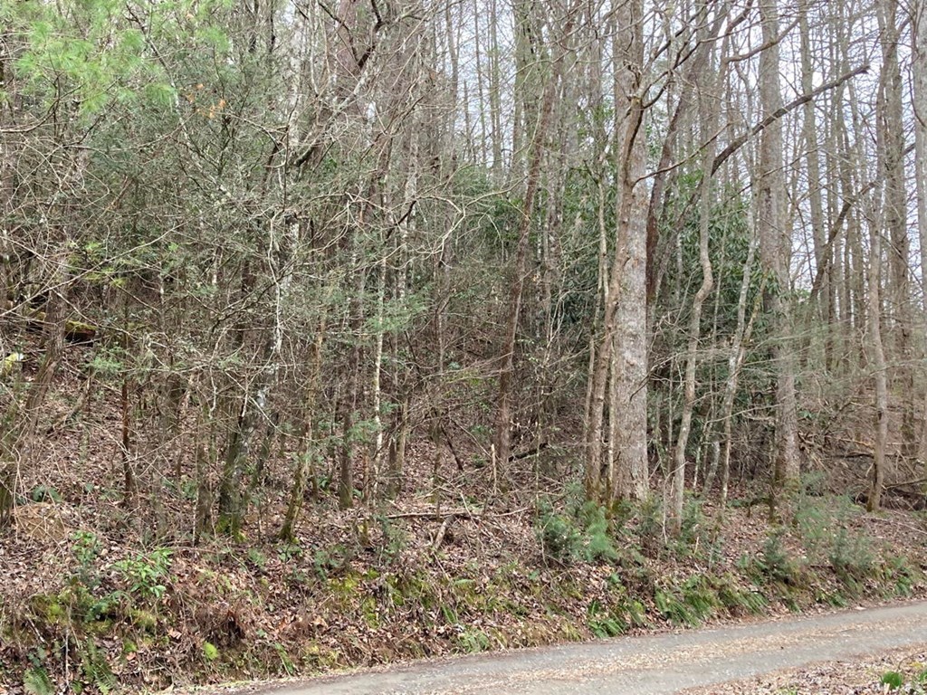 750 Hilltop Road Murphy, NC 28906 - Photo 57 of 57