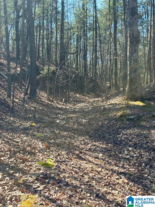1 Mountain Top Road, Unit 1 Trussville, AL 35173 - Photo 5 of 17