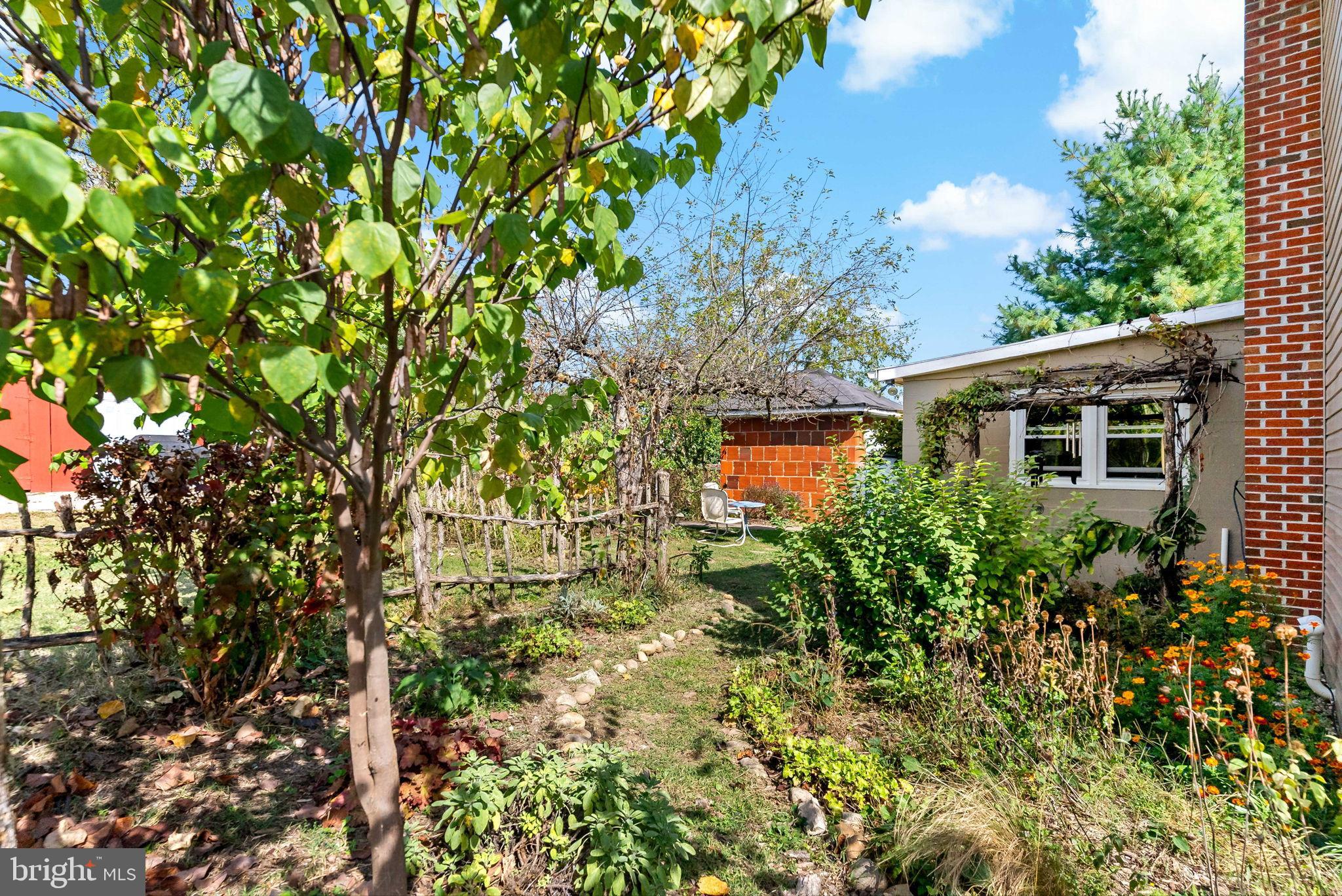 9157 Williamsport Pike Falling Waters, WV 25419 - Photo 31 of 51 a view of a house with a tree