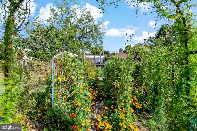 $275,000 | 9157 Williamsport Pike, Falling Waters, WV 25419