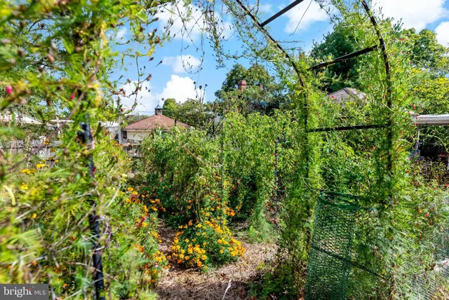 $275,000 | 9157 Williamsport Pike, Falling Waters, WV 25419