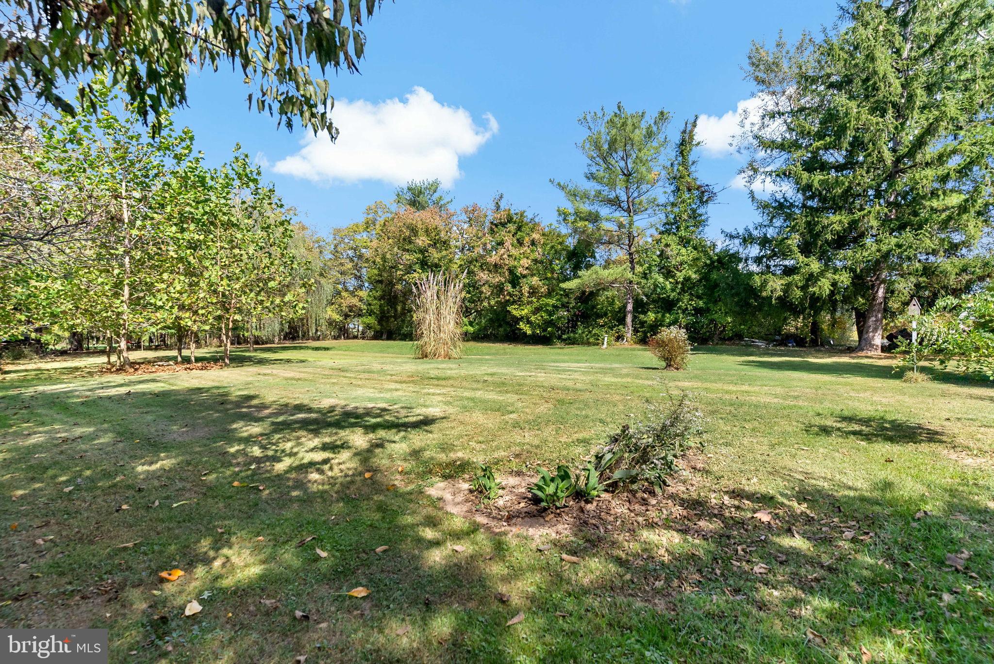 9157 Williamsport Pike Falling Waters, WV 25419 - Photo 38 of 51 a view of a field with tree in the background