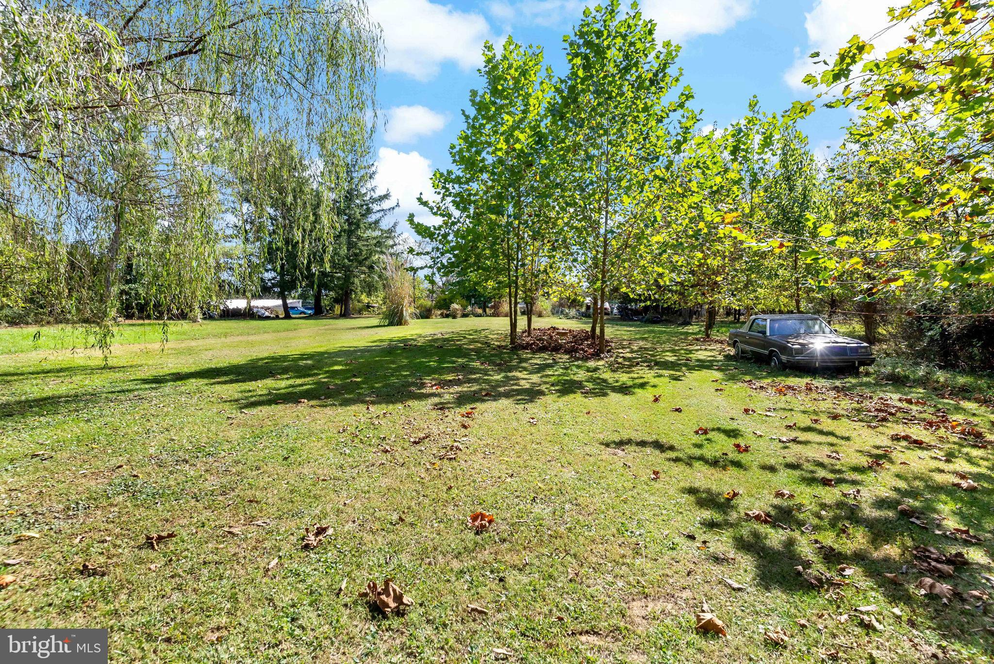 9157 Williamsport Pike Falling Waters, WV 25419 - Photo 41 of 51 a big yard with lots of green space and plants