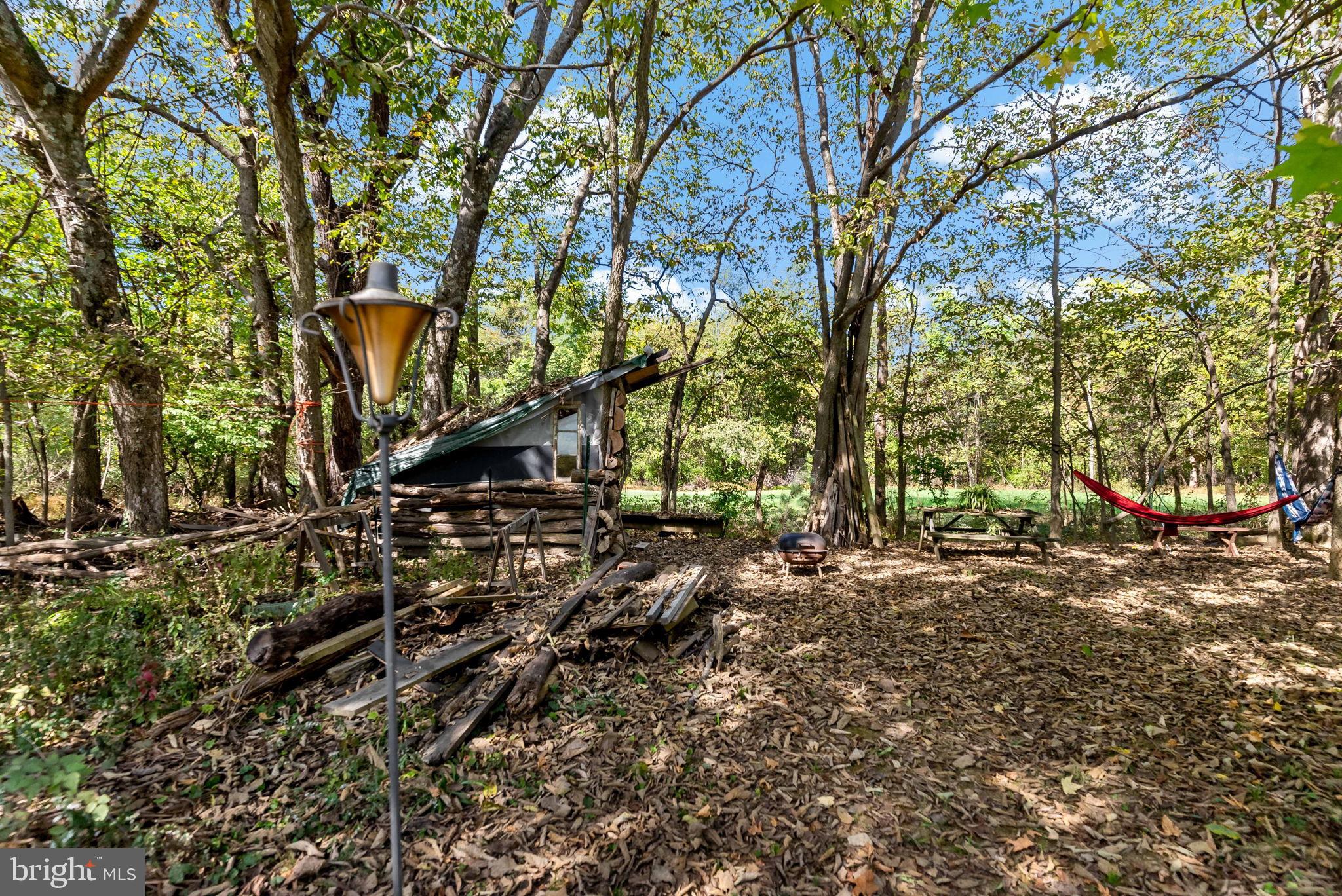 9157 Williamsport Pike Falling Waters, WV 25419 - Photo 43 of 51 a backyard of a house with lots of green space