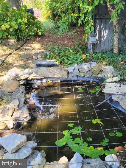 9157 Williamsport Pike Falling Waters, WV 25419 - Photo 46 of 51 a view of a yard with plants