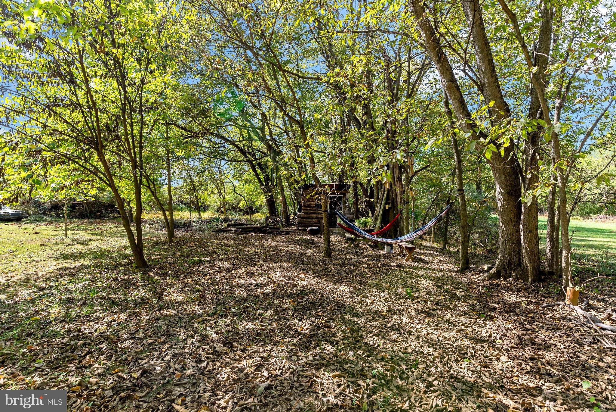 9157 Williamsport Pike Falling Waters, WV 25419 - Photo 47 of 51 a view of a tree in the middle of a yard