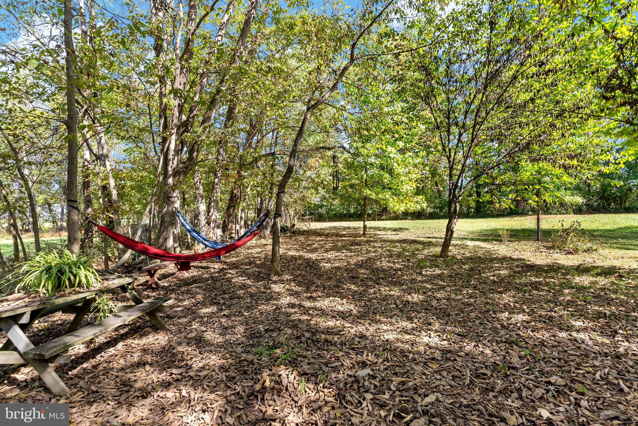 9157 Williamsport Pike Falling Waters, WV 25419 - Photo 48 of 51 a view of a field with trees