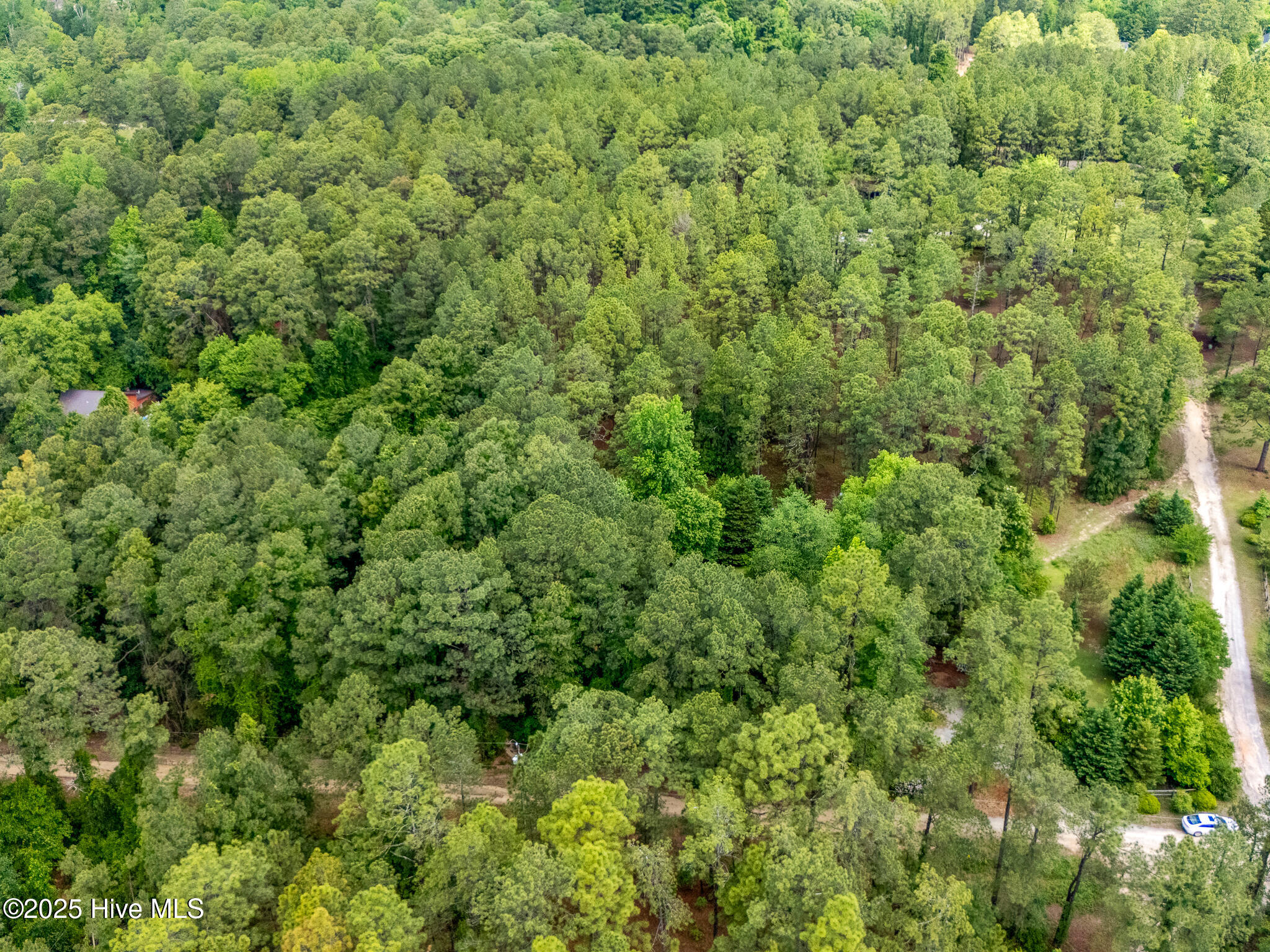 366 Ampersand Road Aberdeen, NC 28315 - Photo 28 of 28 366 Ampersand 26