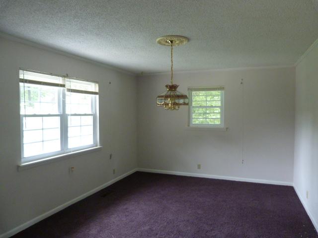 344 Bains Road Hillsboro, TN 37342 - Photo 6 of 14 Gallery Image 6