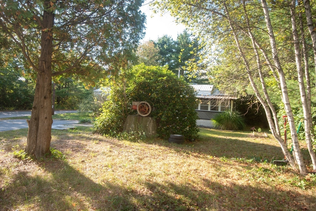 20 Dana Road Barre, MA 01005 - Photo 6 of 38 a view of a yard with plants and trees