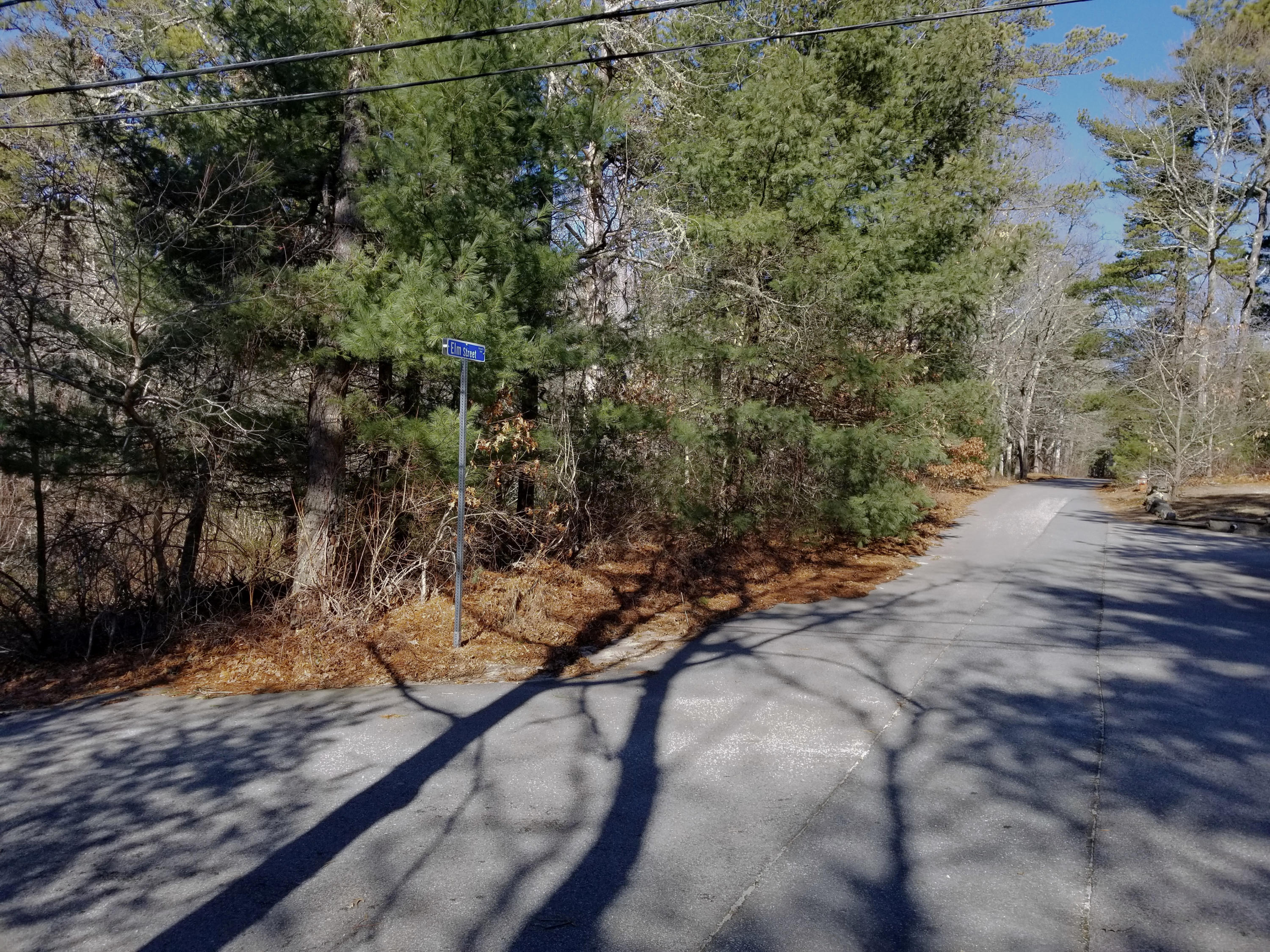 0 Rushy Marsh Road Cotuit, MA 02635 - Photo 1 of 8 a view of a forest with trees