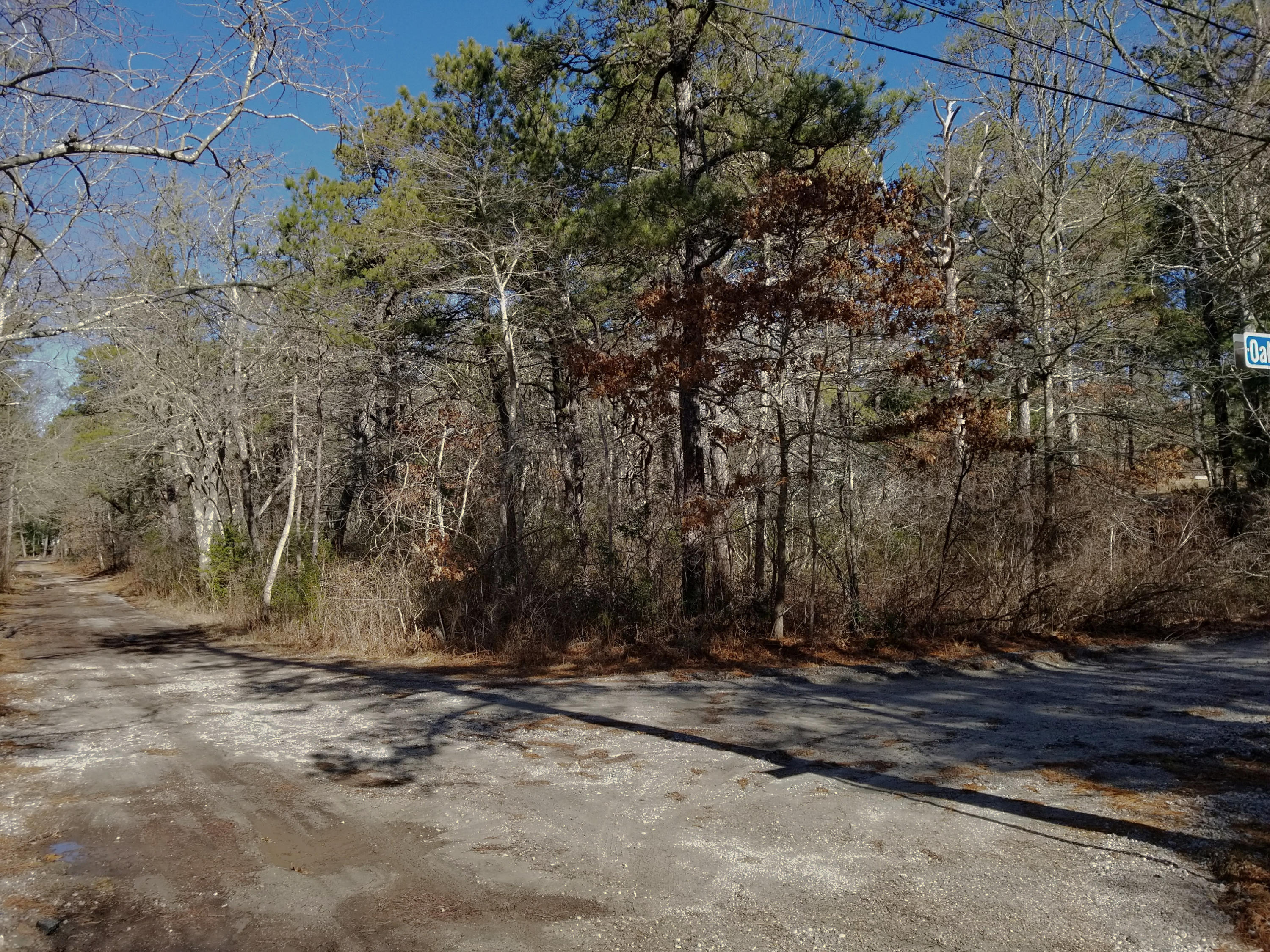 0 Rushy Marsh Road Cotuit, MA 02635 - Photo 4 of 8 a view of yard