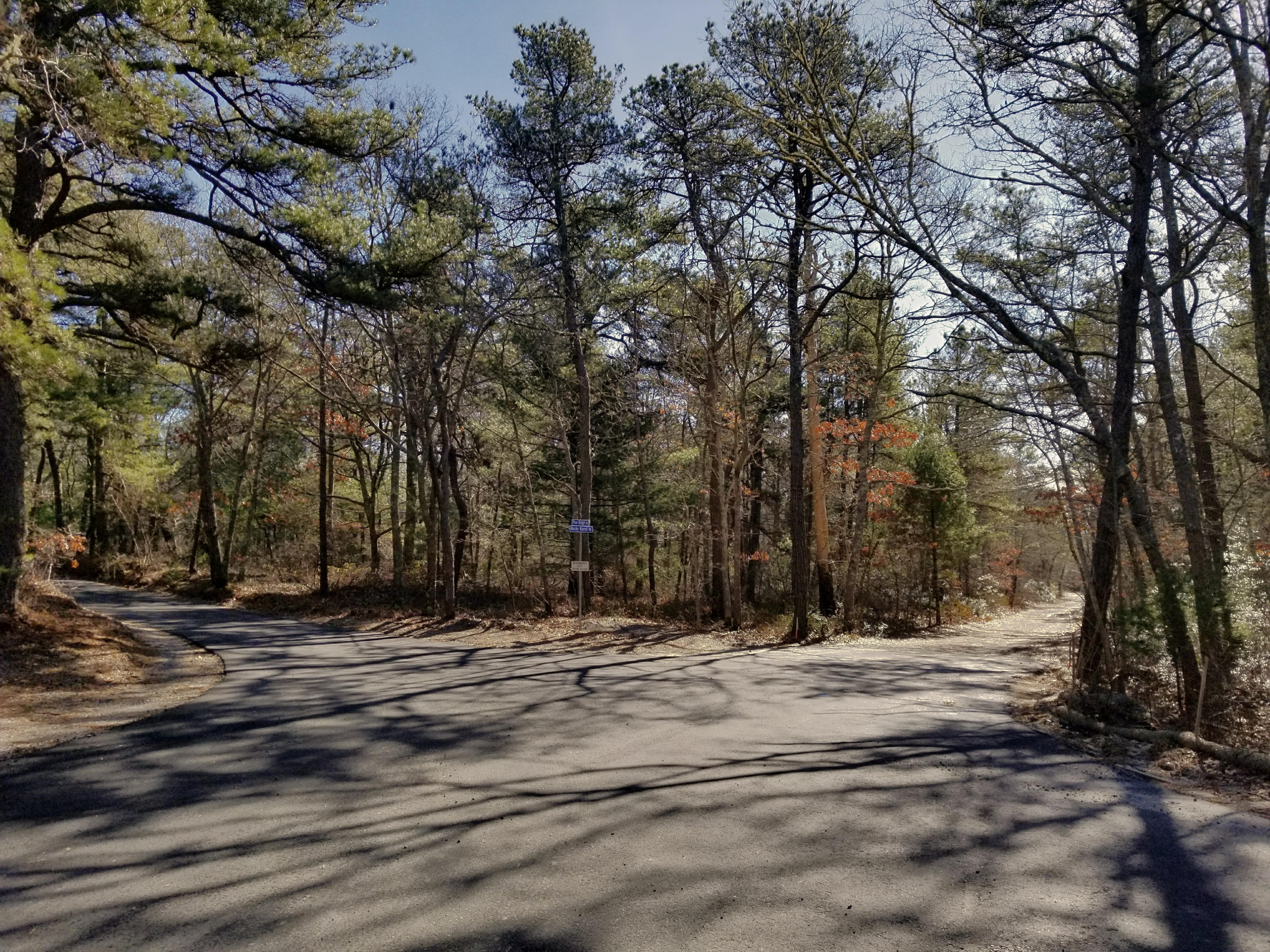 0 Rushy Marsh Road Cotuit, MA 02635 - Photo 5 of 8 a view of house with a trees