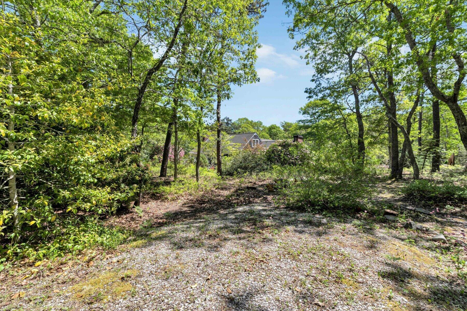 988 Crowells Bog Road Brewster, MA 02631 - Photo 55 of 92 07-IMGP5247