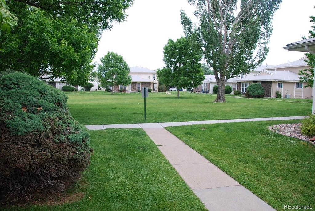 a view of a park and trees
