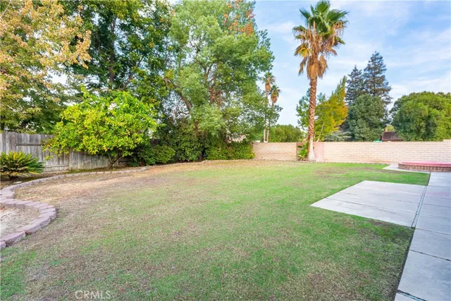 a view of a yard with a tree