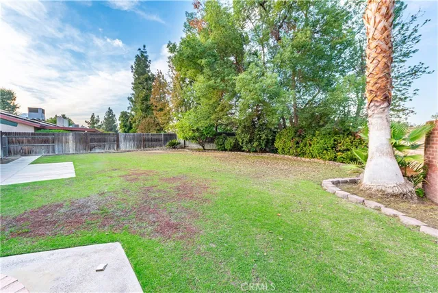 a view of a garden with a slide