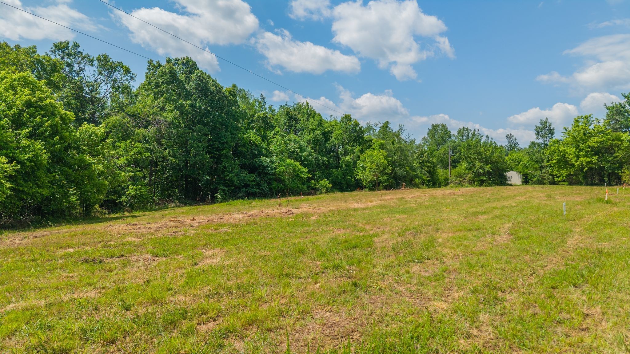 8489 Hoskins Hollow Road Westmoreland, TN 37186 - Photo 8 of 36