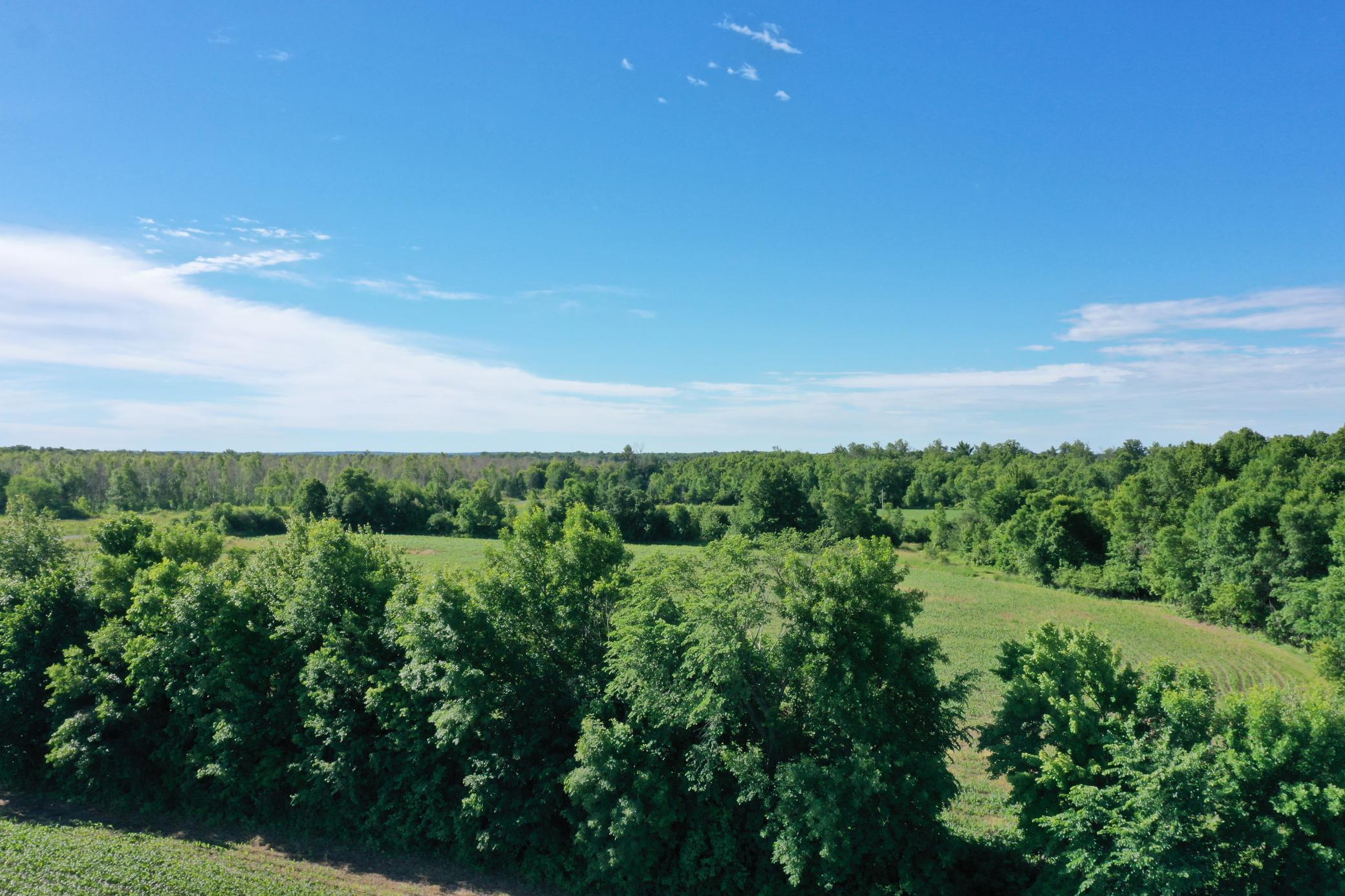 Lot 1 North Williams Road Grantsburg, WI 54840 - Photo 3 of 8