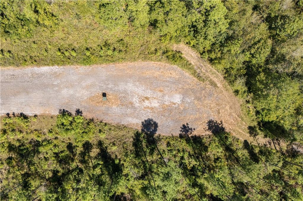 1603 Dl Durrence Road Reidsville, GA 30453 - Photo 29 of 31 Photo 29