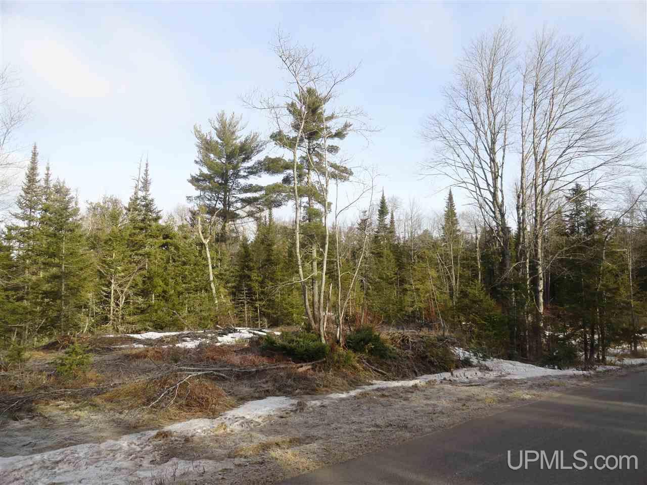 116-acres 116-acres Co Road Negaunee, MI 49866 - Photo 5 of 37
