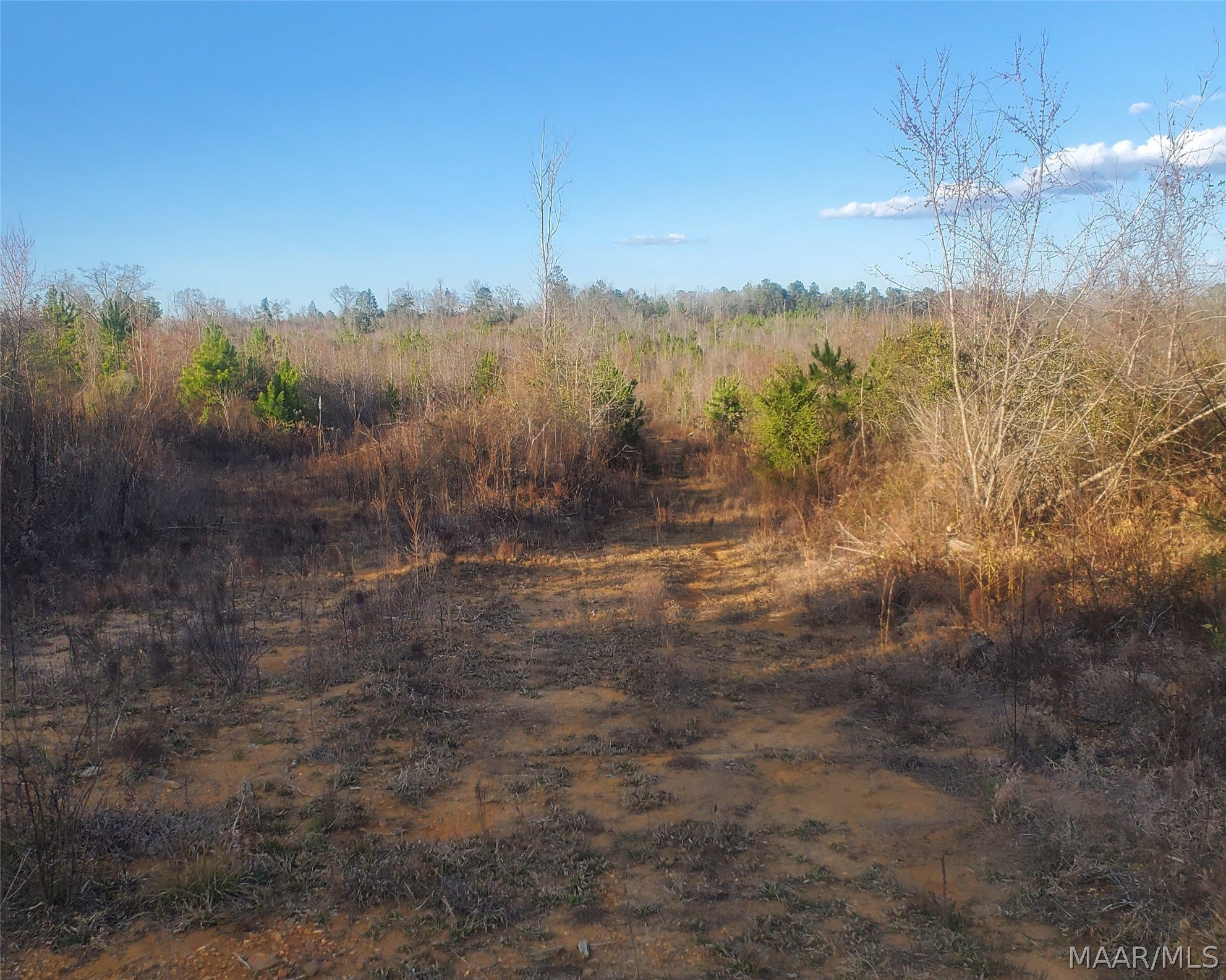 0 Brownin Road Ralph, AL 35480 - Photo 7 of 19 Gallery Image 7