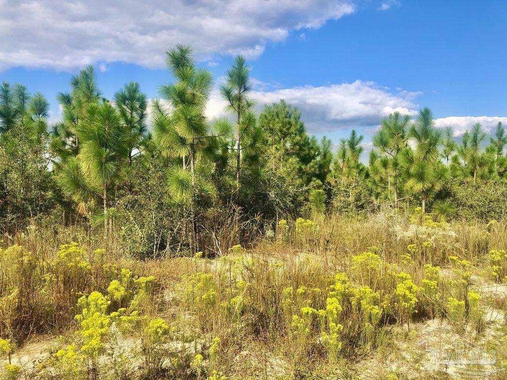 Lot 4-sw Gin Road Milton, FL 32571 - Photo 12 of 25 Gallery Image 12