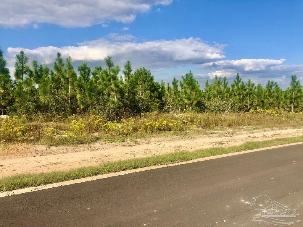 Lot 4-sw Gin Road Milton, FL 32571 - Photo 13 of 25 Gallery Image 13