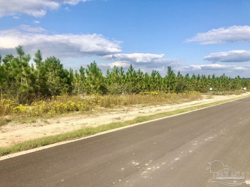 Lot 4-sw Gin Road Milton, FL 32571 - Photo 14 of 25 Gallery Image 14