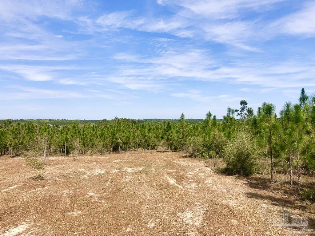 Lot 4-sw Gin Road Milton, FL 32571 - Photo 15 of 25 Gallery Image 15