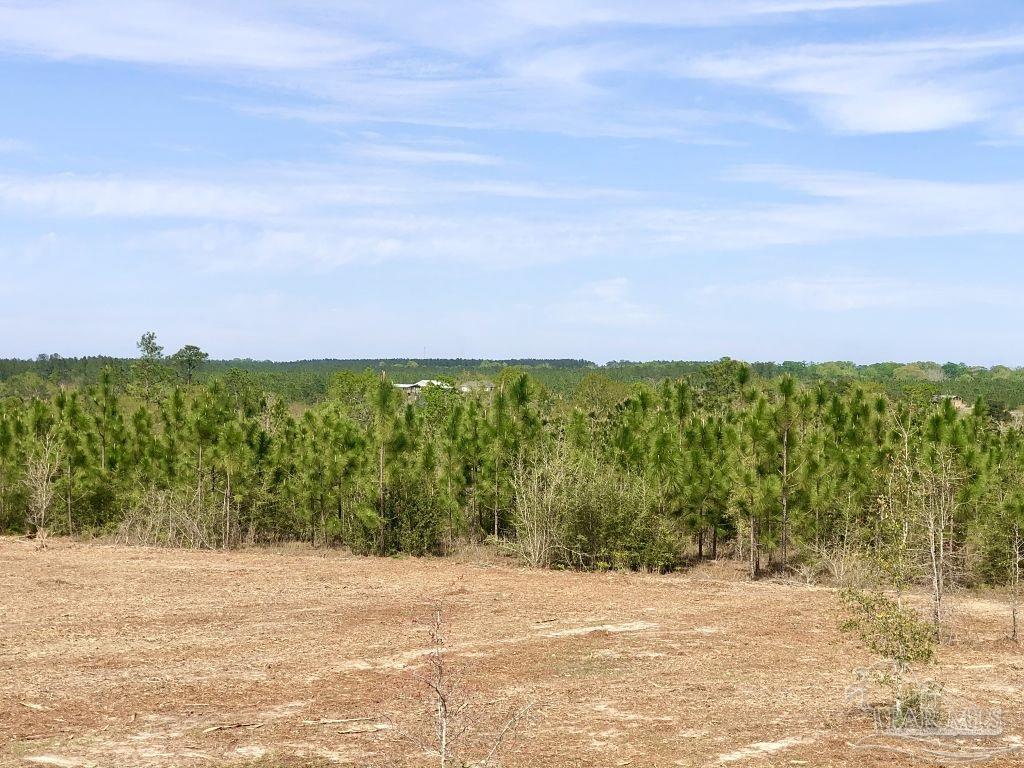 Lot 4-sw Gin Road Milton, FL 32571 - Photo 16 of 25 Gallery Image 16