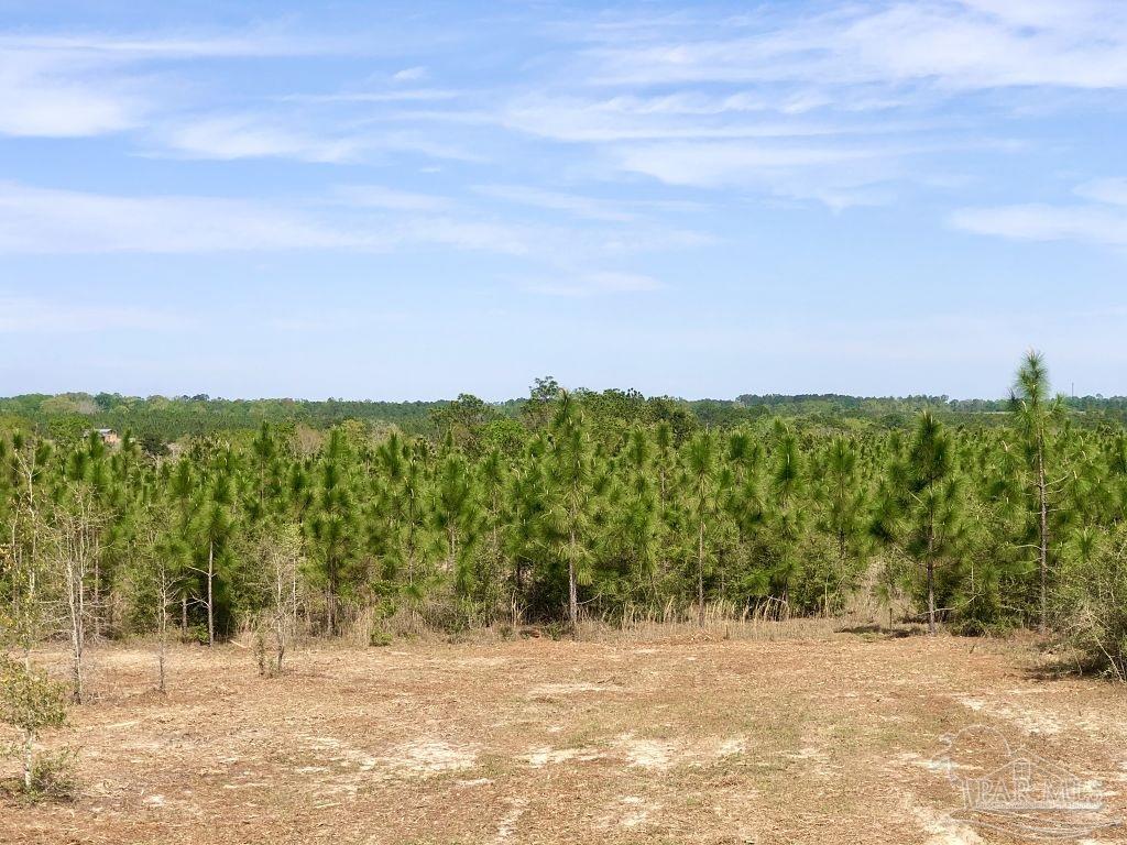 Lot 4-sw Gin Road Milton, FL 32571 - Photo 17 of 25 Gallery Image 17