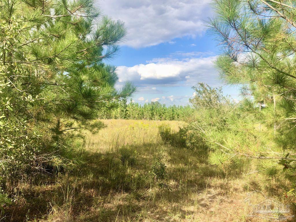Lot 4-sw Gin Road Milton, FL 32571 - Photo 6 of 25 Gallery Image 6